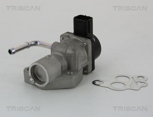 Supapa EGR TRISCAN 8813 10014