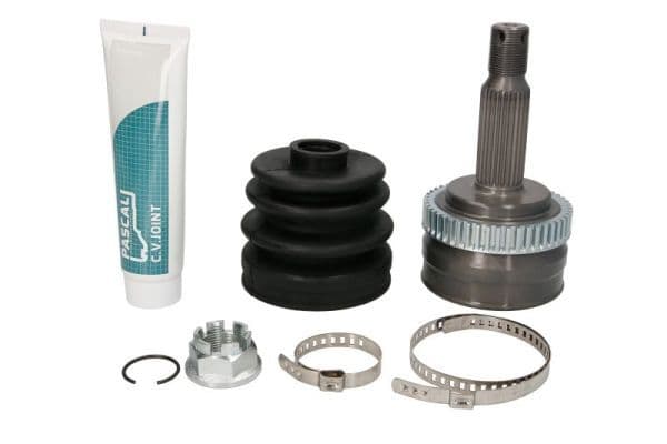 Set articulatie, planetara PASCAL G10353PC