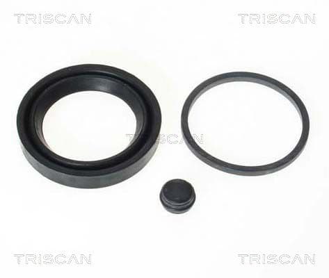 garnitura,piston etrier TRISCAN 8170 189942