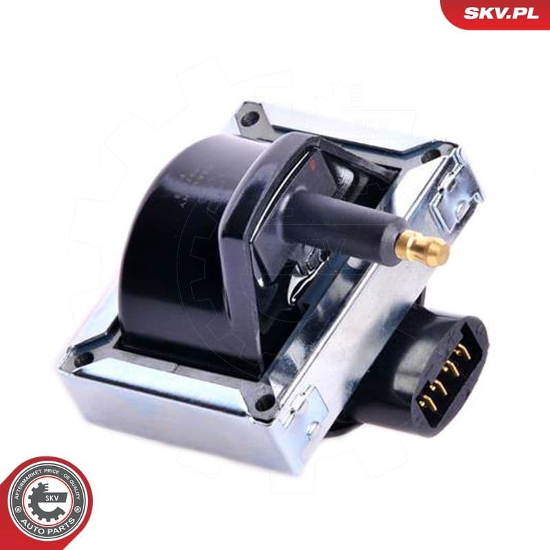 bobina de inductie ESEN SKV 03SKV120