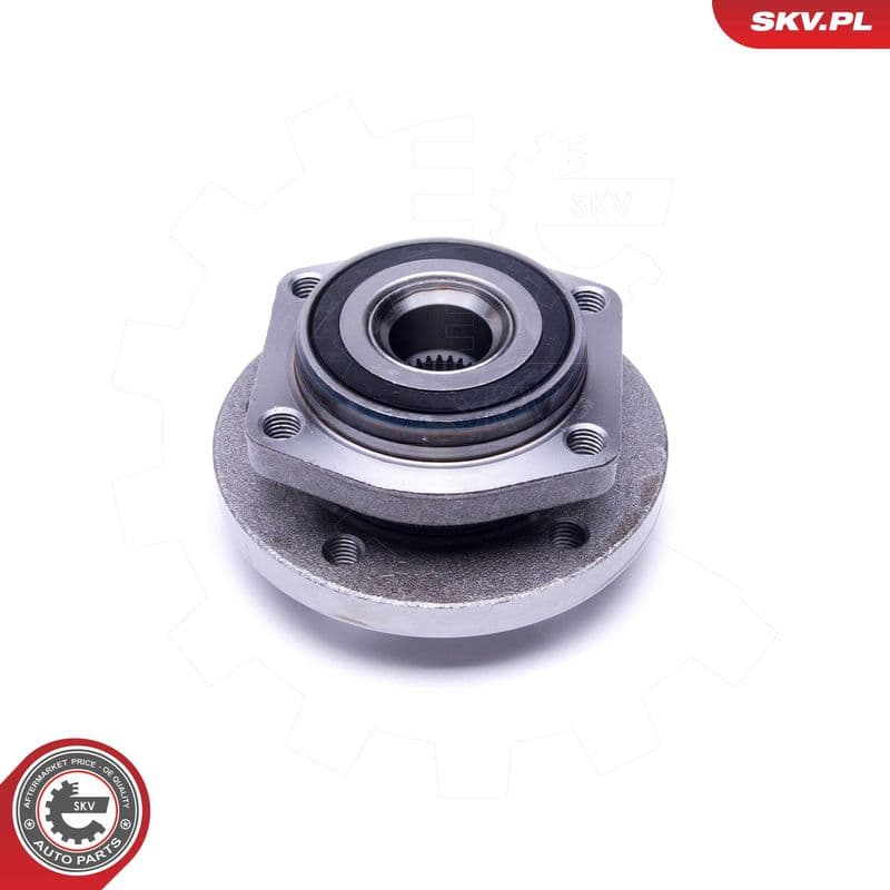Set rulment roata ESEN SKV 29SKV411