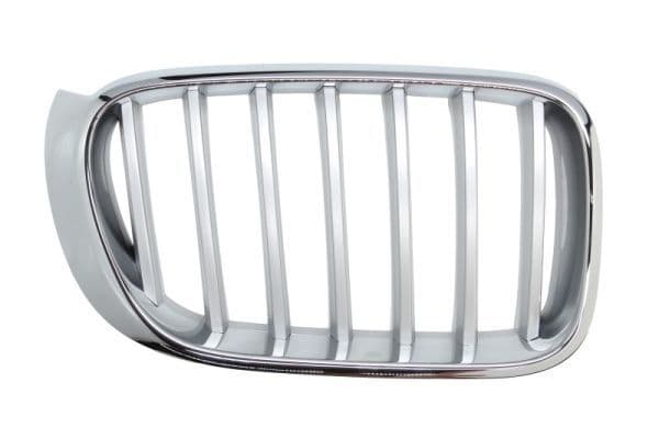 Grila radiator BLIC 6502-07-00939966P