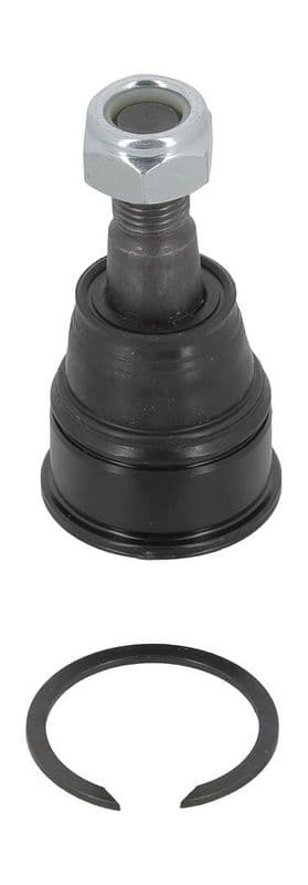 Pivot MOOG HO-BJ-10556