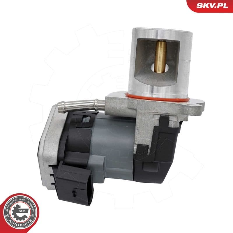 Supapa EGR ESEN SKV 14SKV310