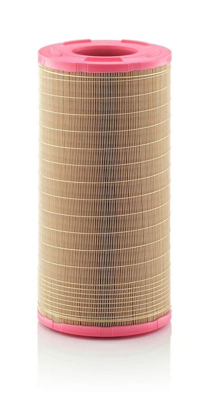 Filtru aer MANN-FILTER C 25 978