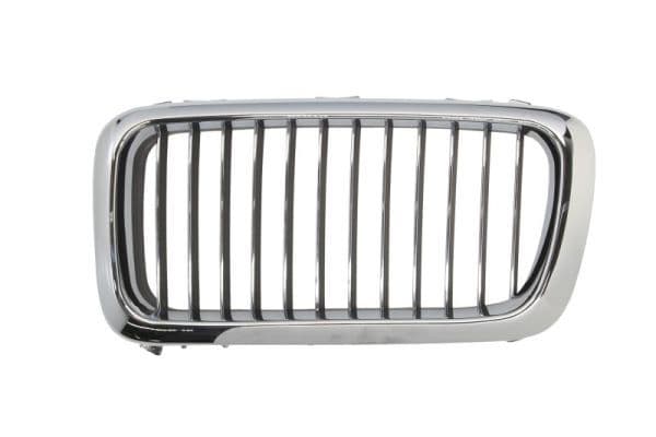 Grila radiator BLIC 6502-07-0075993P