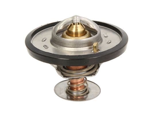 termostat,lichid racire THERMOTEC D2CA001TT