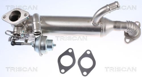 Radiator, recirculare gaze de esapament TRISCAN 8813 29326