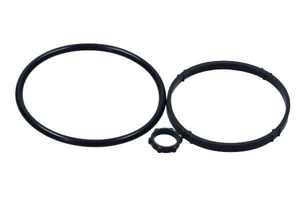 Set garnituri, radiator ulei MAXGEAR 70-0143