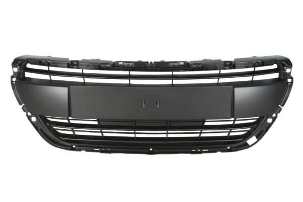 Grila radiator BLIC 6502-07-5509992P