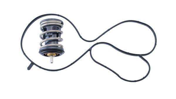 termostat,lichid racire MAHLE BEHR TX 489 97D