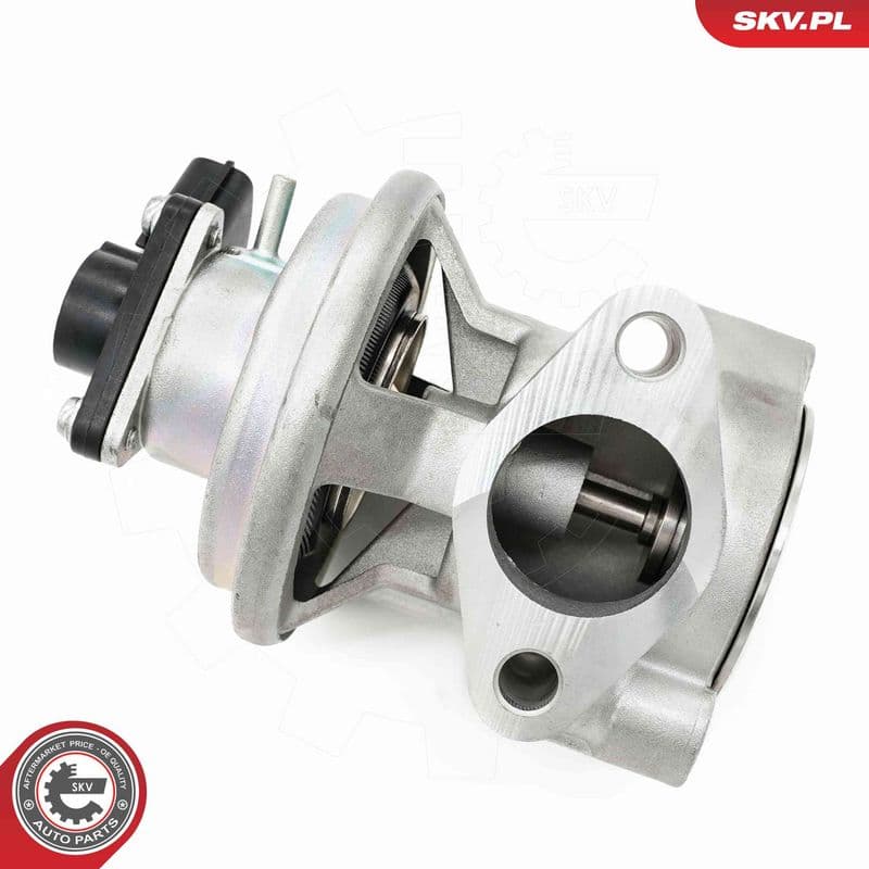 Supapa EGR ESEN SKV 14SKV269