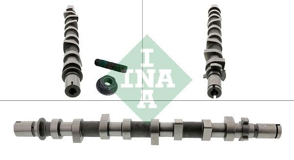 Ax cu came Schaeffler INA 428 0252 10