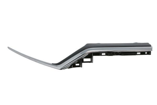 Banda de protectie, grila radiator BLIC 6502-07-2951996P