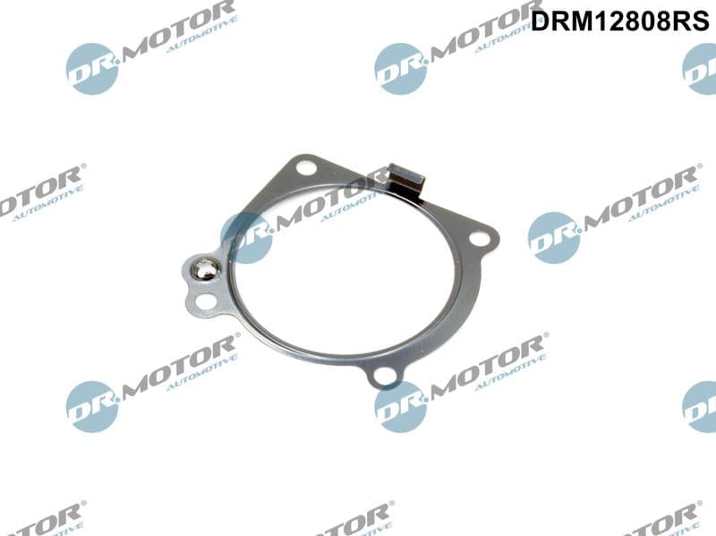 Garnitura, galerie admisie Dr.Motor Automotive DRM12808RS