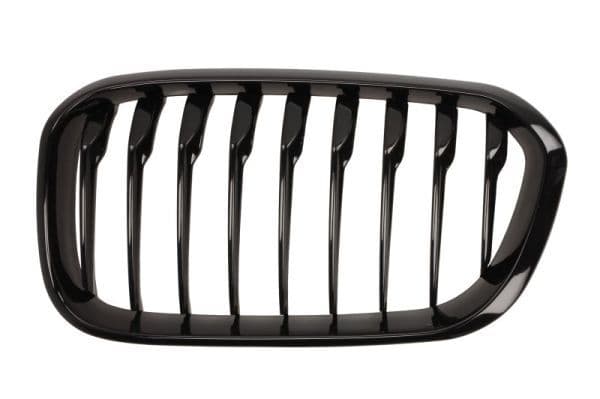 Grila radiator BLIC 6502-07-0086997P