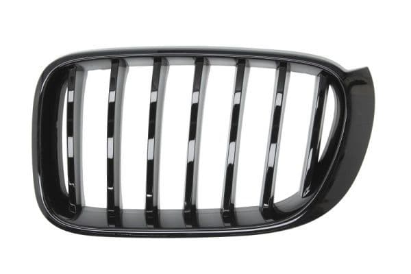 Grila radiator BLIC 6502-07-00939977P