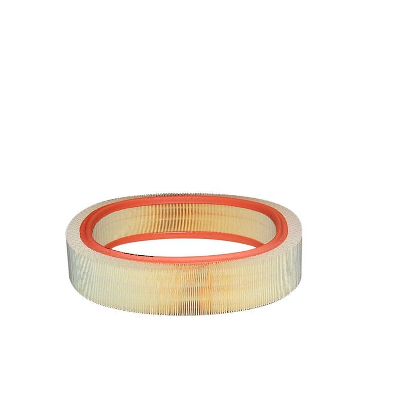Filtru aer FILTRON AR 037