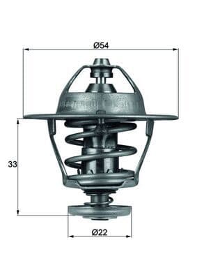 termostat,lichid racire MAHLE BEHR TX 53 85D
