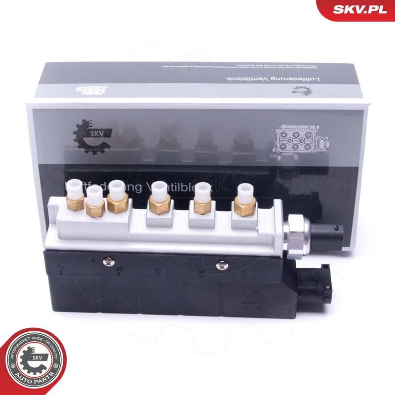 supapa,sistem supraalimentare ESEN SKV 93SKV810
