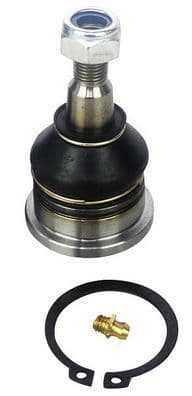 Pivot DENCKERMANN D110005