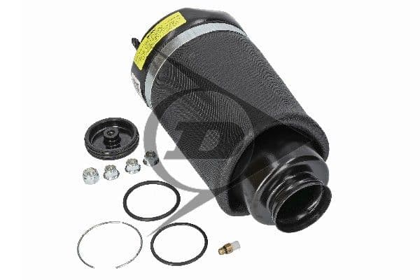Air Spring Strut