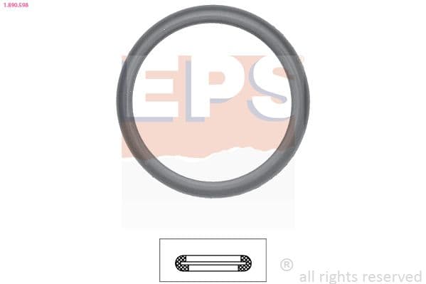 Garnitura termostat EPS 1.890.598