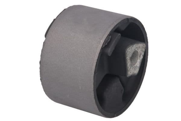 Suport motor REINHOCH RH11-6010