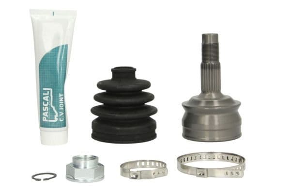 Set articulatie, planetara PASCAL G1F002PC