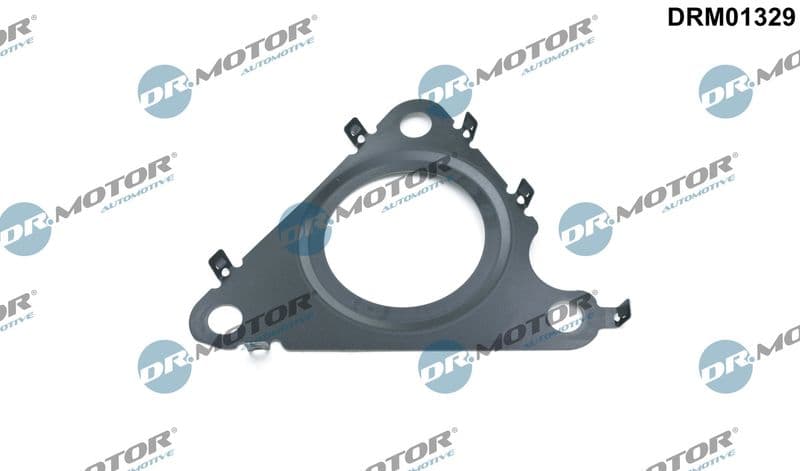 Garnitura, ventil AGR Dr.Motor Automotive DRM01329