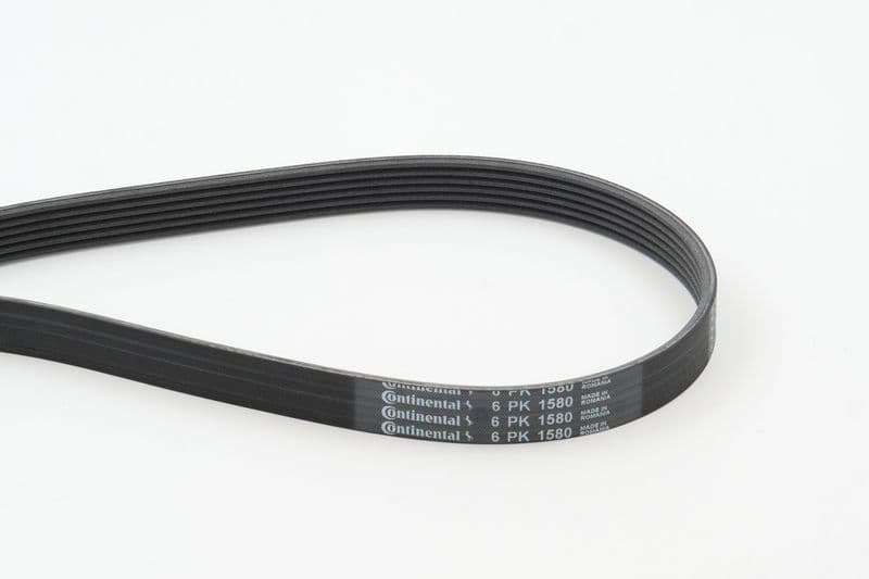 Curea transmisie cu caneluri CONTINENTAL CTAM 6PK1580