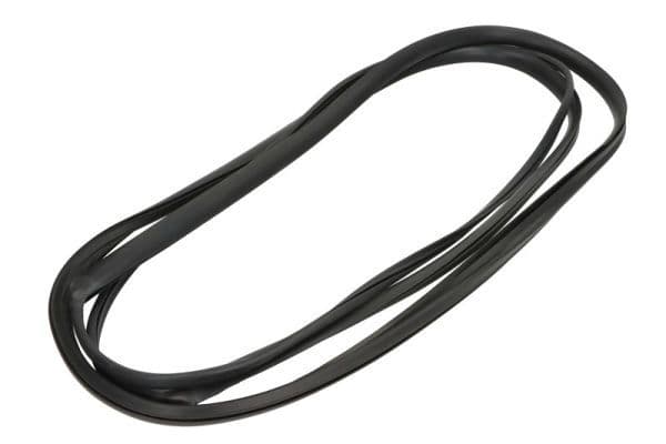 Garnitura, parbriz BLIC 5703-04-6037393Q