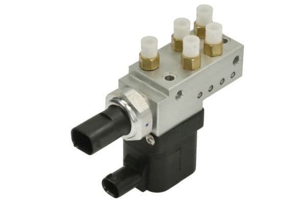 supapa,sistem supraalimentare Magnum Technology ZRM006MT