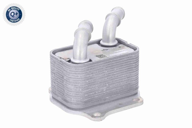 Radiator ulei, ulei motor ACKOJA Green Mobility Parts A52-60-0024