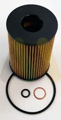 Filtru ulei MOTAQUIP LVFL805