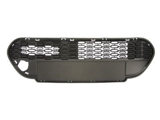 Grila ventilatie, bara protectie BLIC 6502-07-5501985Q