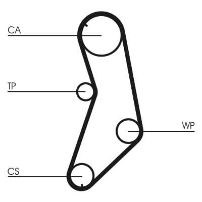 Curea de distributie CONTINENTAL CTAM CT745