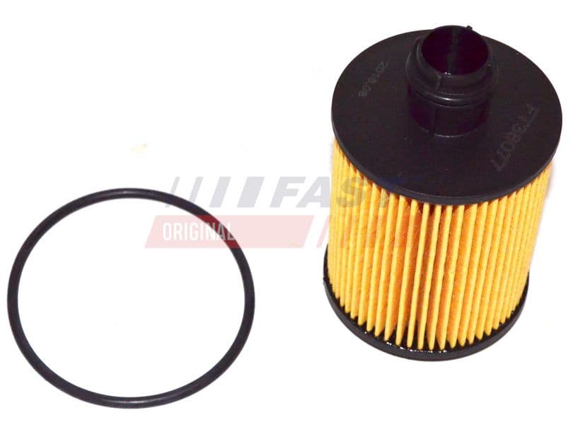 Filtru ulei FAST FT38077