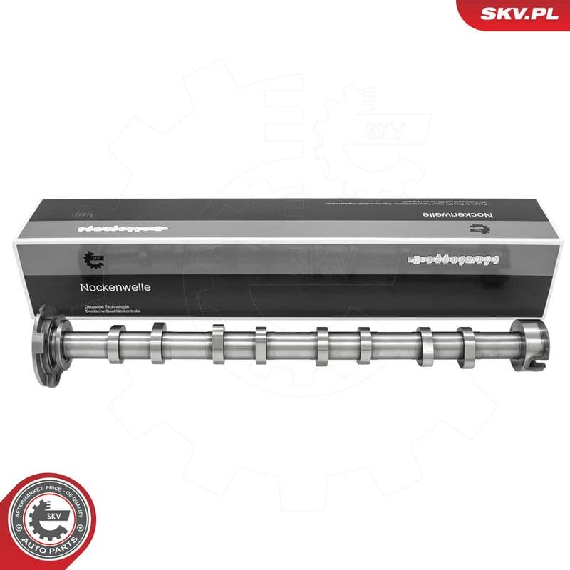 Ax cu came ESEN SKV 80SKV022