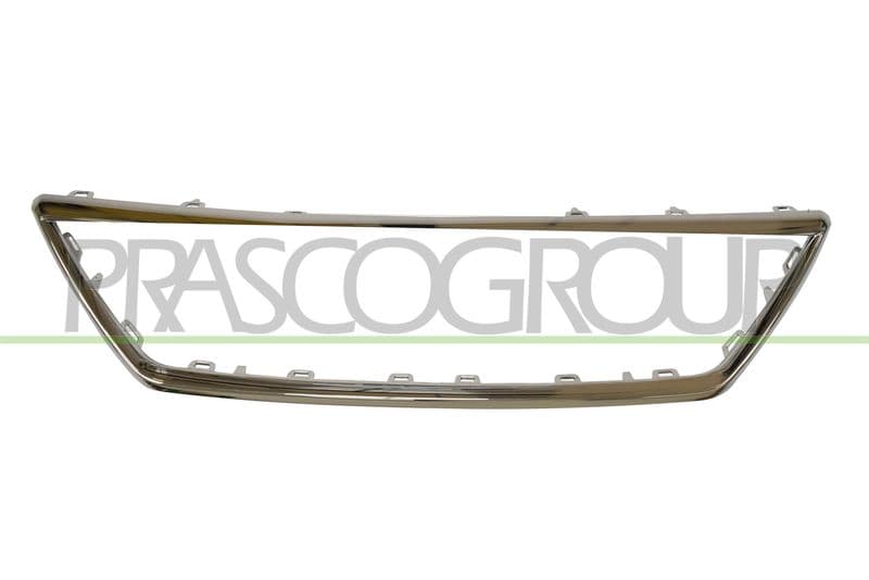 Rama, grila radiator PRASCO PremiumCertified ST4282206