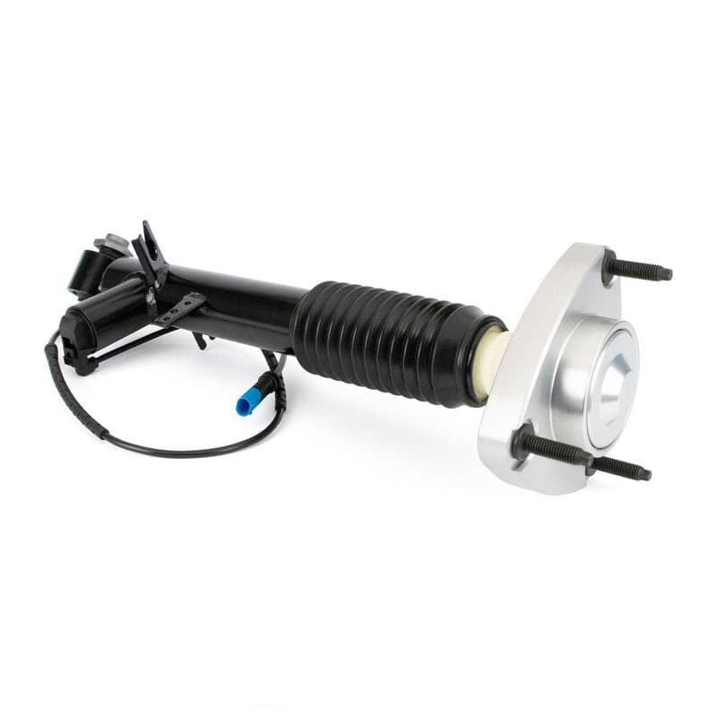 amortizor Arnott SK-3816