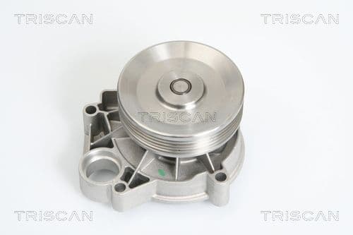 Pompă de apă, răcire motor TRISCAN 8600 11009