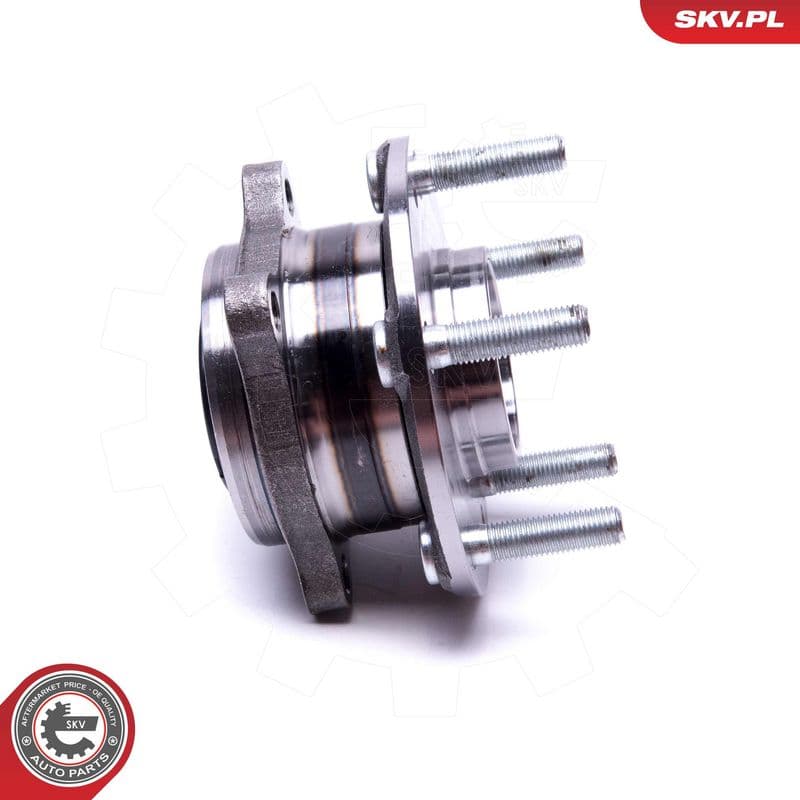 Set rulment roata ESEN SKV 29SKV541