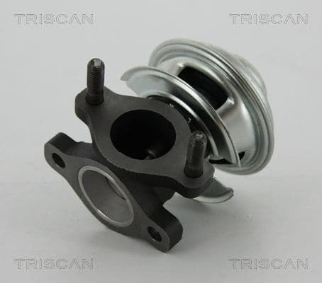 Supapa EGR TRISCAN 8813 43008