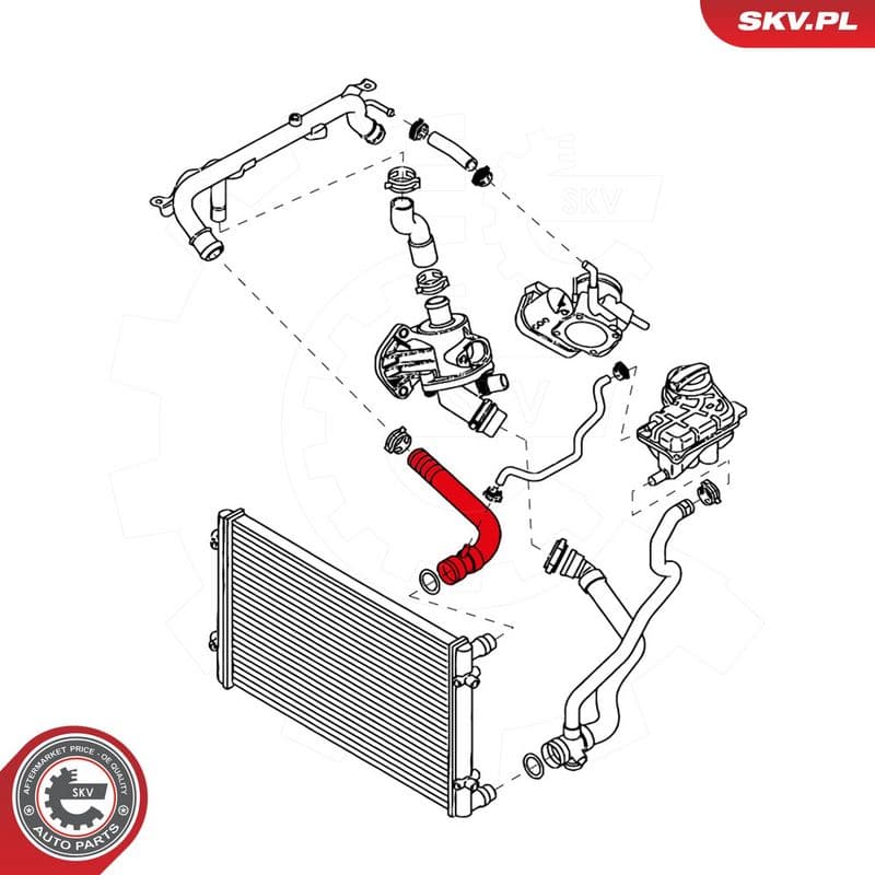 Furtun radiator ESEN SKV 43SKV709