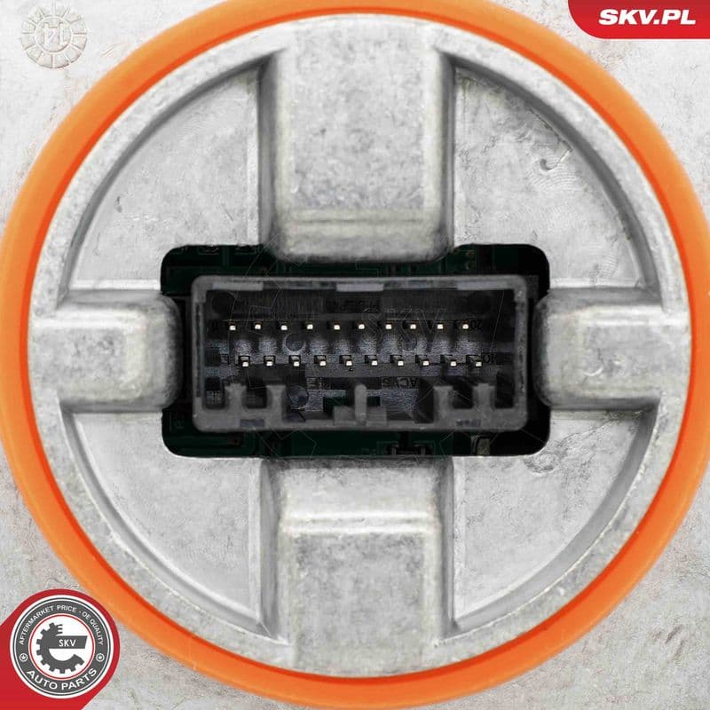 unitate de control,lumini ESEN SKV 59SKV276