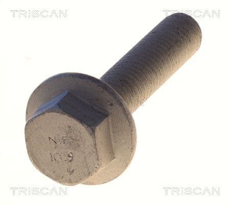 Bolturi fixare, brat suspensie TRISCAN 8501 0531