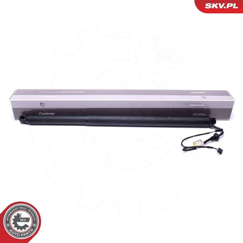 Motor electric, haion ESEN SKV 52SKV946