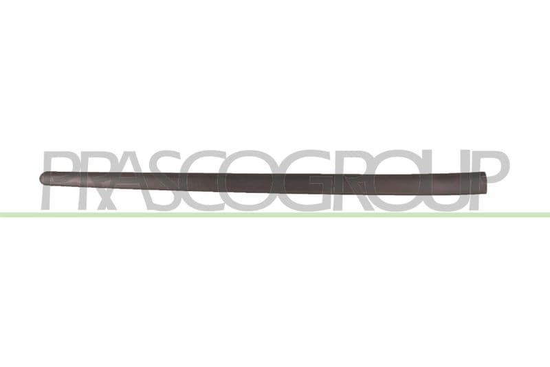 Elemente decorative/protectie, portiera PRASCO VG0361403