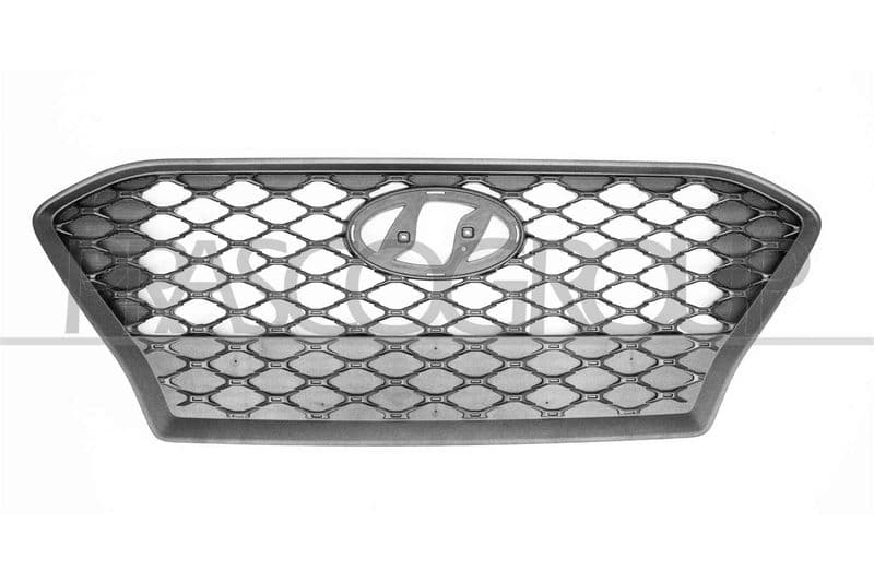 Grila radiator PRASCO HN4502001